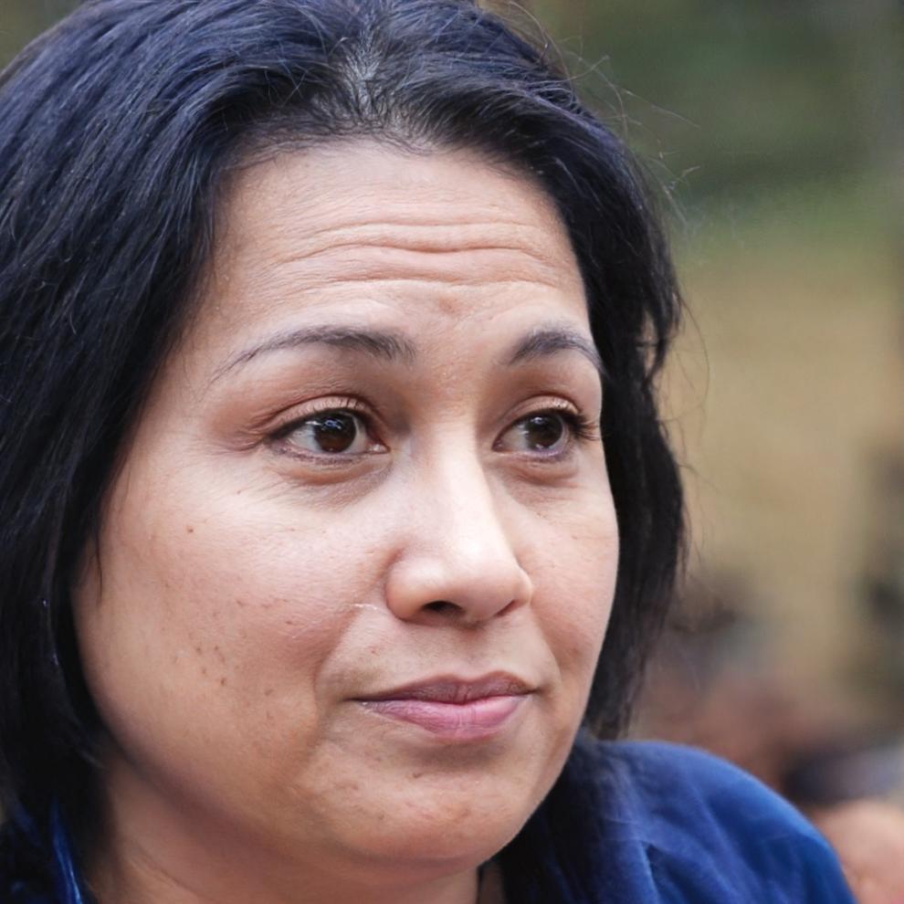 Seraphina Thornfield evaluating healthcare data systems